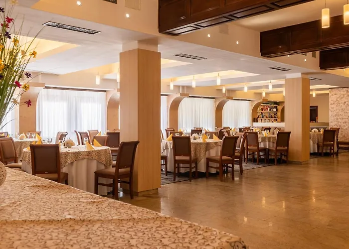 Pensiunea Floarea SoareluiPensiune